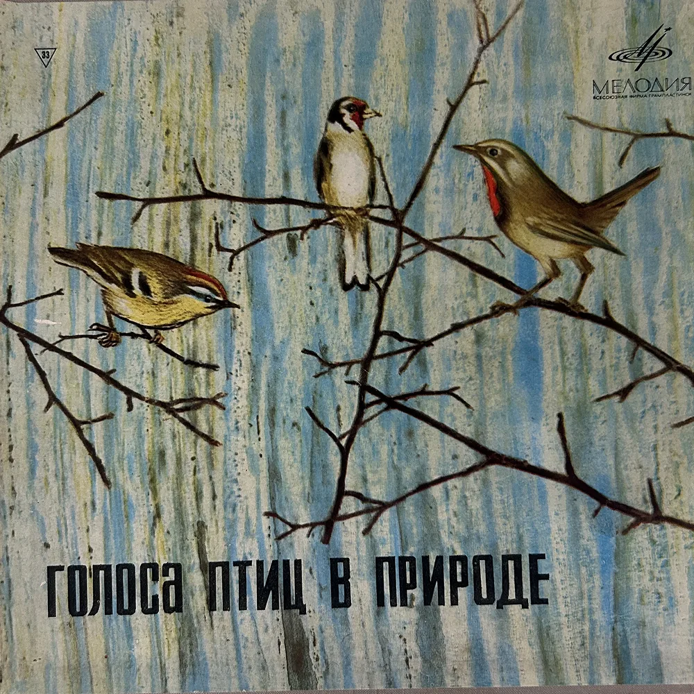 Голоса птиц в природе